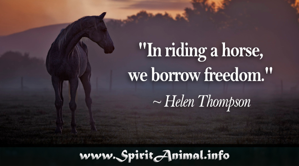Pin by Niamh on horse quotes | Horse quotes, Inspirational 