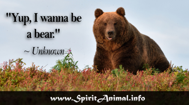 Bear Quotes