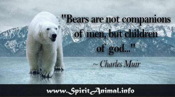 Image result for bear quotes
