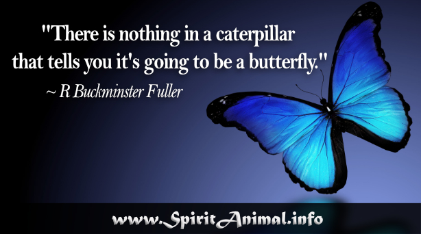 Butterfly Quotes - Spirit Animal Info