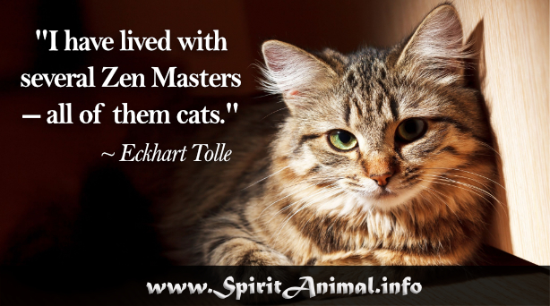 Cat Quotes - Spirit Animal Info