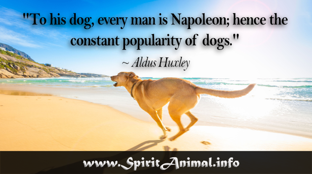 Dog Quotes