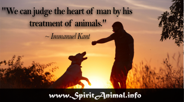 Dog Quotes