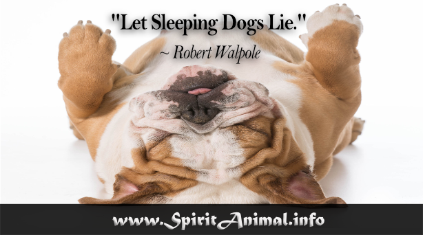 Famous Dog quotes