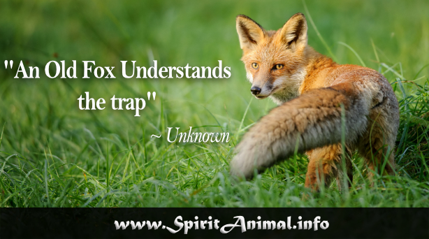 Fox Quotes - Spirit Animal Info