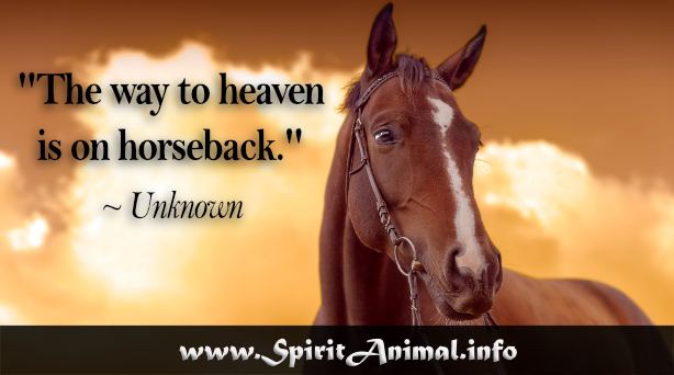 Horse Quotes