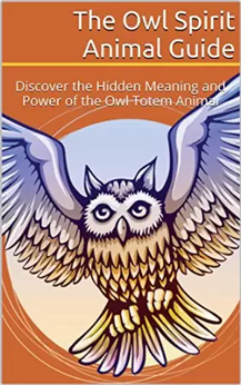 Owl Guide - Spirit Animal Info