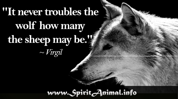 Wolves Quotes Images : Image result for wolves quotes | Wolf quotes