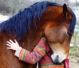 Horse Spirit Animal