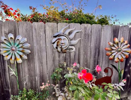 In the Garden of Dailyhood