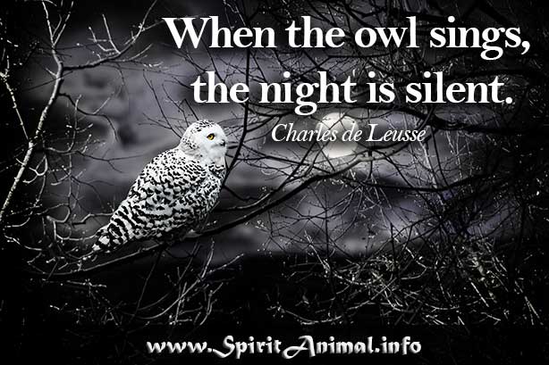 Owl Quotes - Spirit Animal Info
