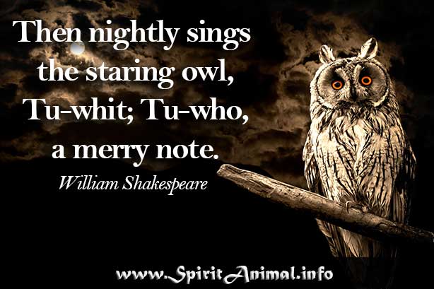 Owl Quotes