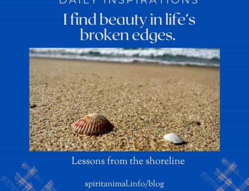I Find Beauty in Life’s Broken Edges: Lessons from the Shoreline