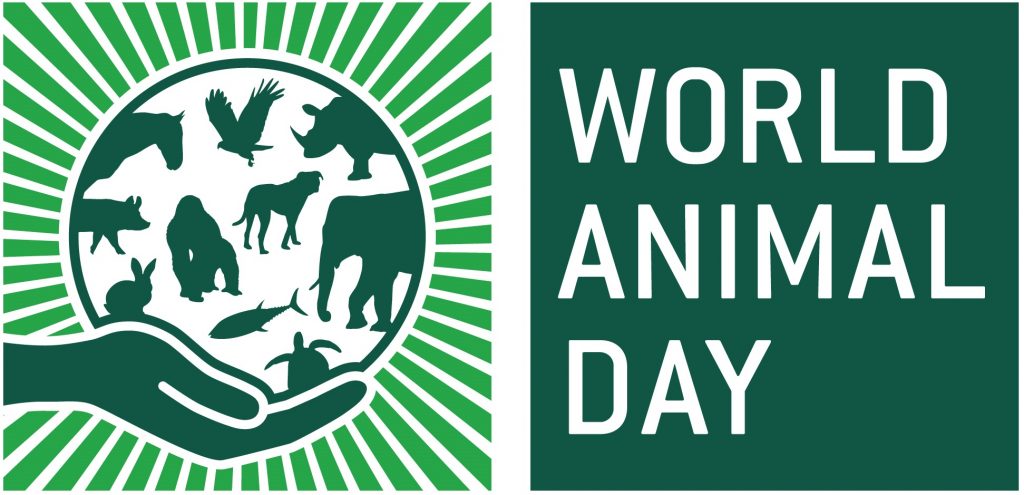 World Animal Day: How to Celebrate Animal Rights